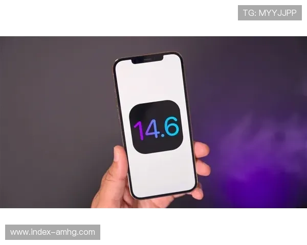 澳门凯旋app手机最新版本更新内容详解，优化游戏体验提升用户满意度